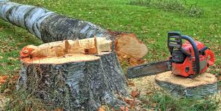 Best Lot and Land Clearing  in Pocomoke City, MD
