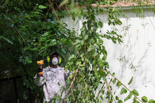 Best Tree Risk Assessment  in Pocomoke City, MD